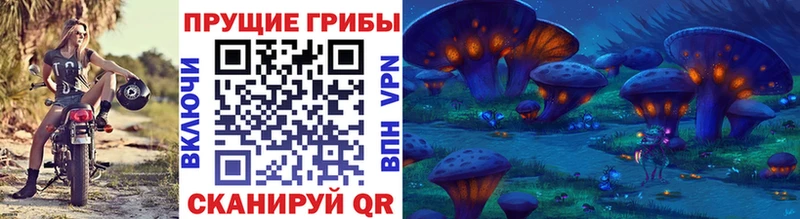 Купить закладки  Катайск  Псилоцибиновые грибы Magic Shrooms 